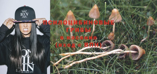 дмт Аркадак