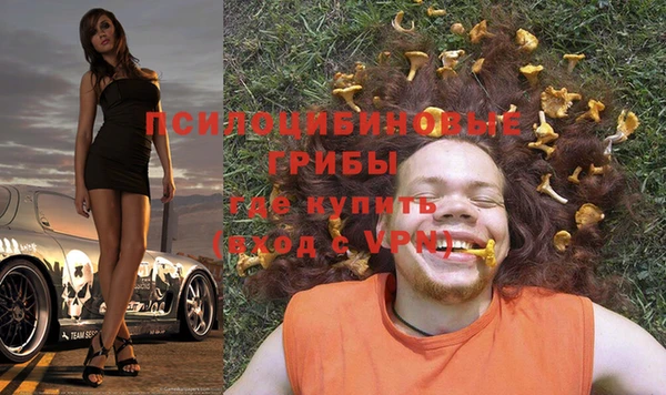 бошки Арсеньев