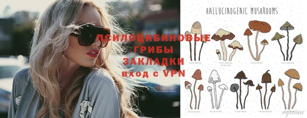 ешки Балахна